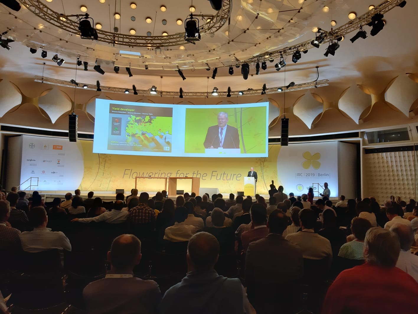 WhatsApp Image 2019-06-19 at 14.54.58