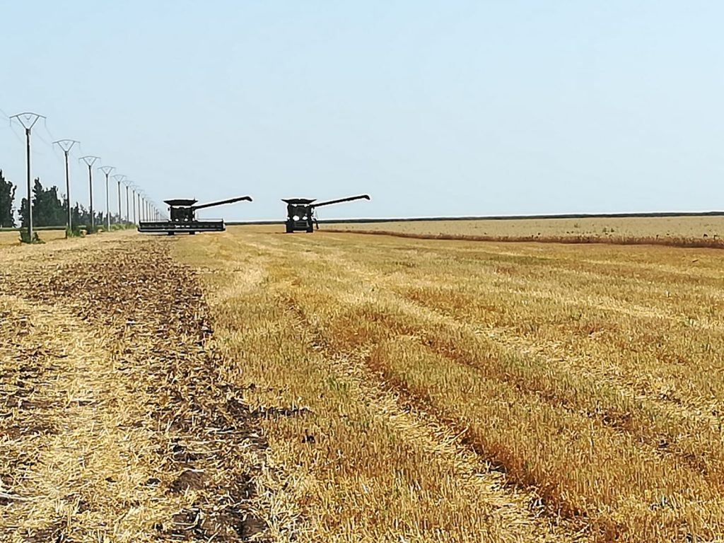 WhatsApp Image 2019-07-03 at 10.36.28