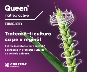 CORTEVA